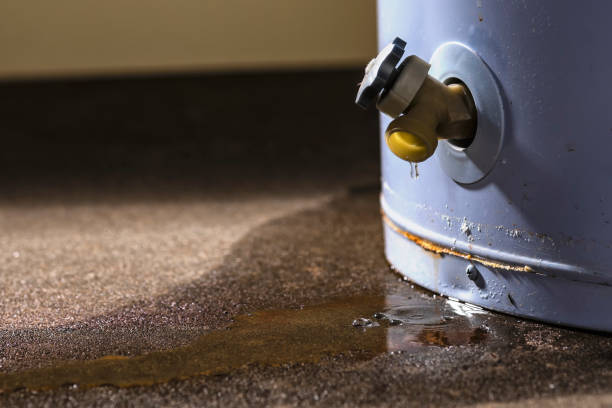Best Residential water damage restoration  in Appleton, WI