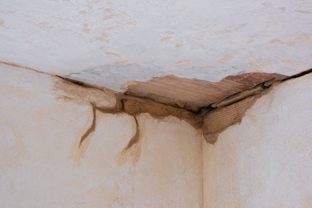 Best Professional water damage repair  in Appleton, WI