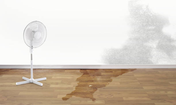 Best Emergency water damage restoration  in Appleton, WI