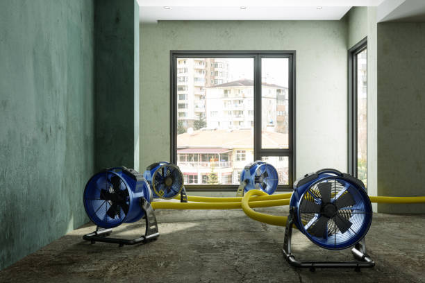 Best 24-hour water damage restoration  in Appleton, WI