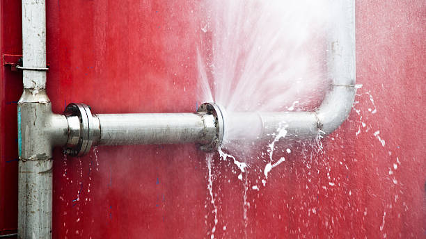 Best Water damage restoration specialists  in Appleton, WI