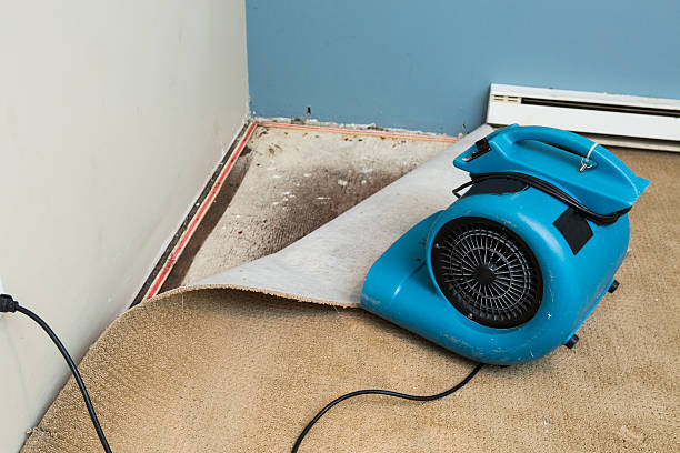 Best Basement water damage restoration  in Appleton, WI